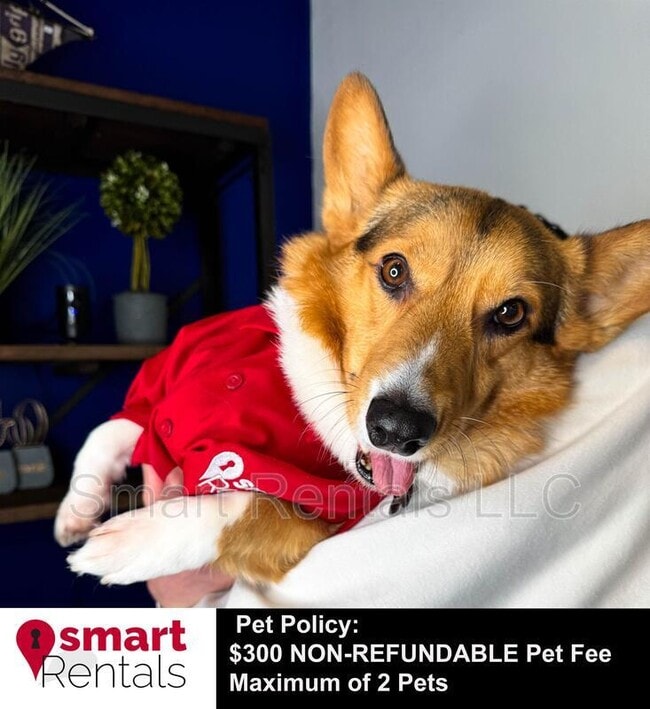 Building Photo - 818 Bell Ave