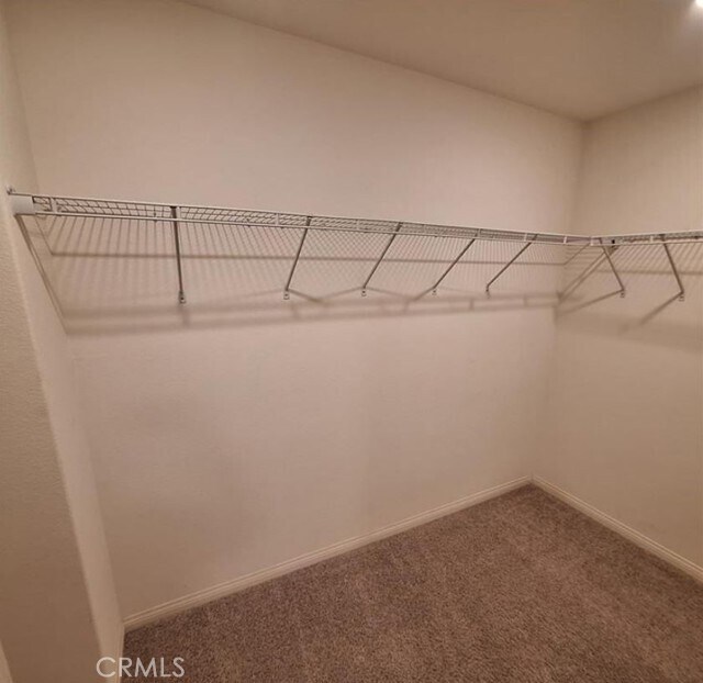 Building Photo - 825 Parisa Pl