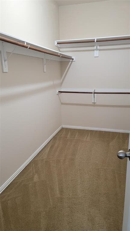 Building Photo - 303 Kati Ln