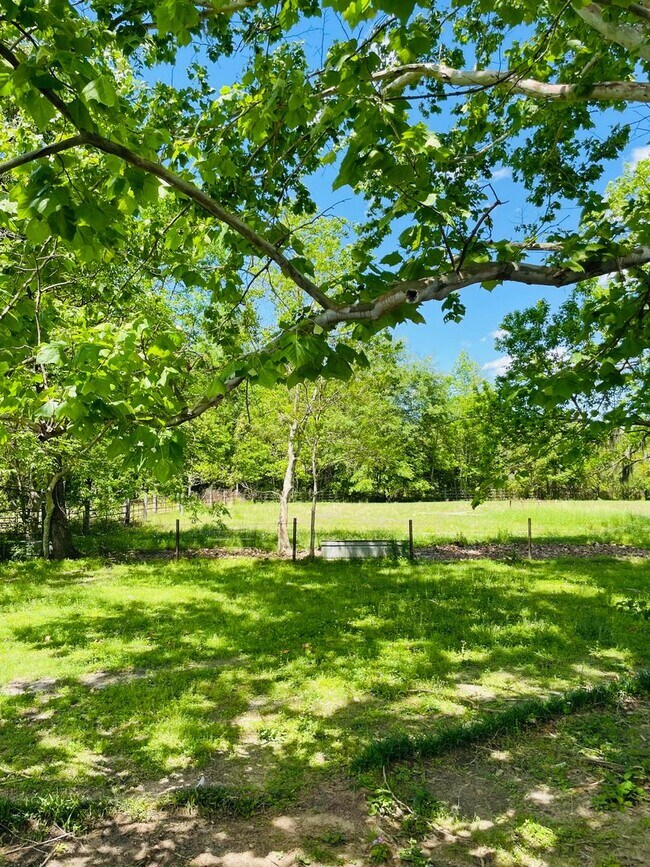 Building Photo - Spacious Duplex just north of I10 and Monroe