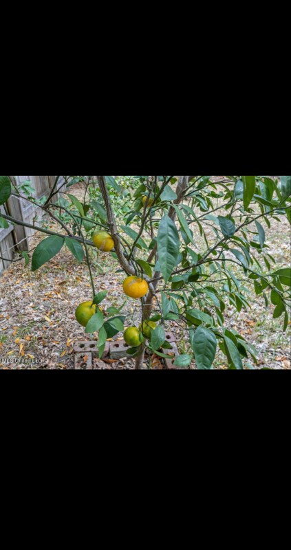 Building Photo - 104 Canal St