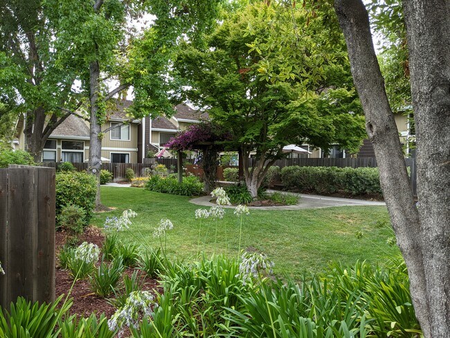Green patch behind patio - 585 Valeri Ruth Ct