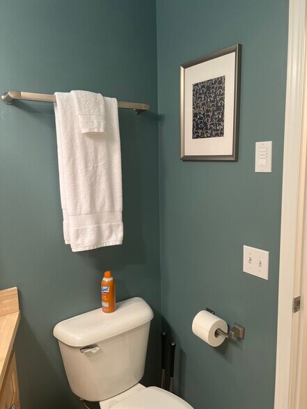 Master Bath - 4135 Chilberg Ave SW