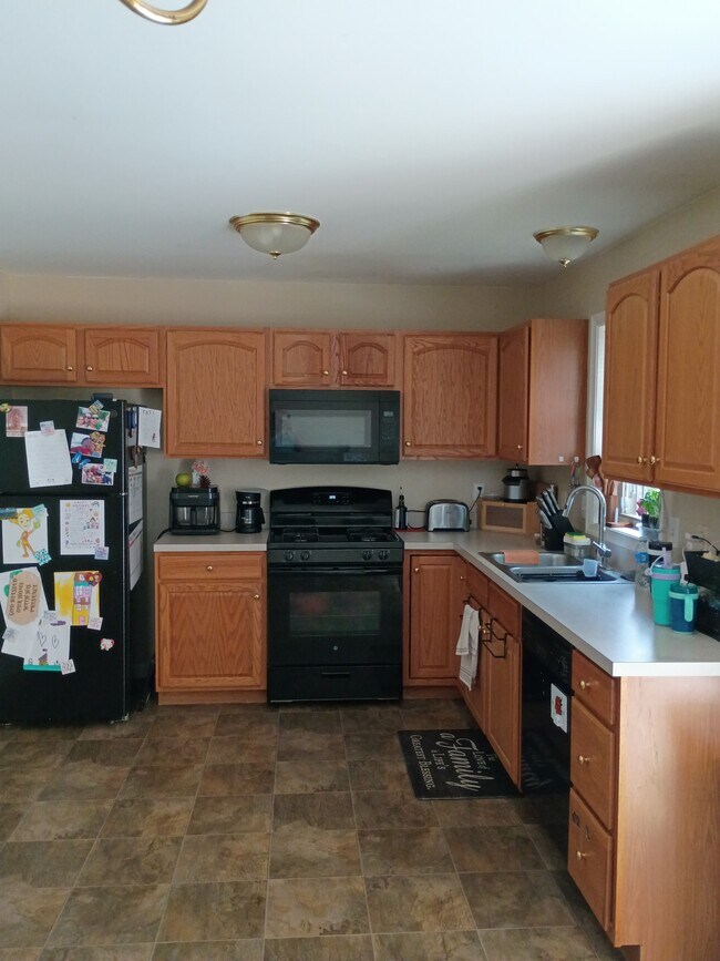 Building Photo - 519 Indian Rock Cir