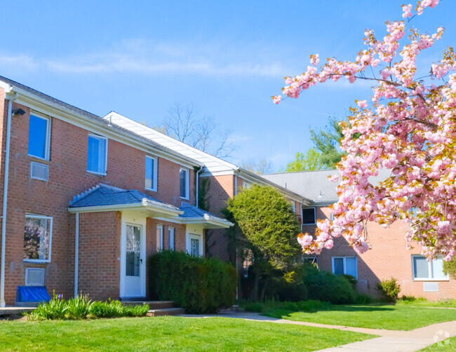 Cherry Blossom - Short Hills Terrace