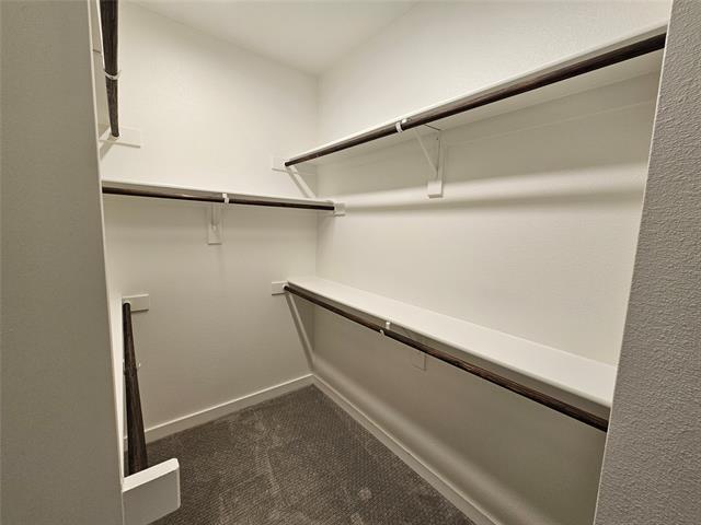 Building Photo - 3400 Zellwood Ln