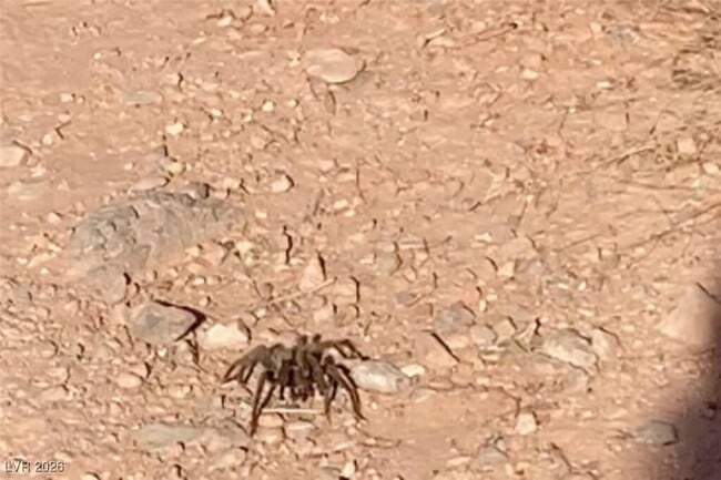 Building Photo - 481 Benedict Dr