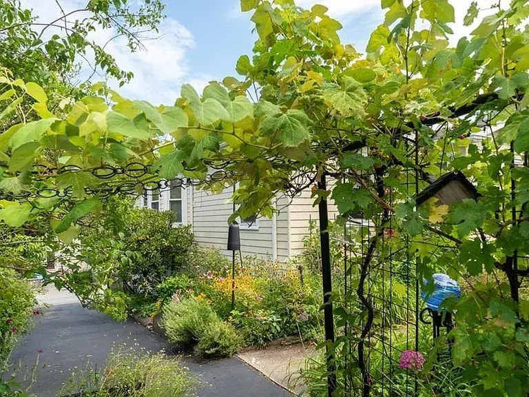 driveway - 151 Walsh St