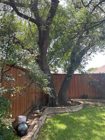 Building Photo - 6304 La Cosa Dr