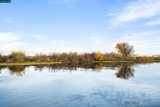 Building Photo - 500 Discovery Bay Blvd