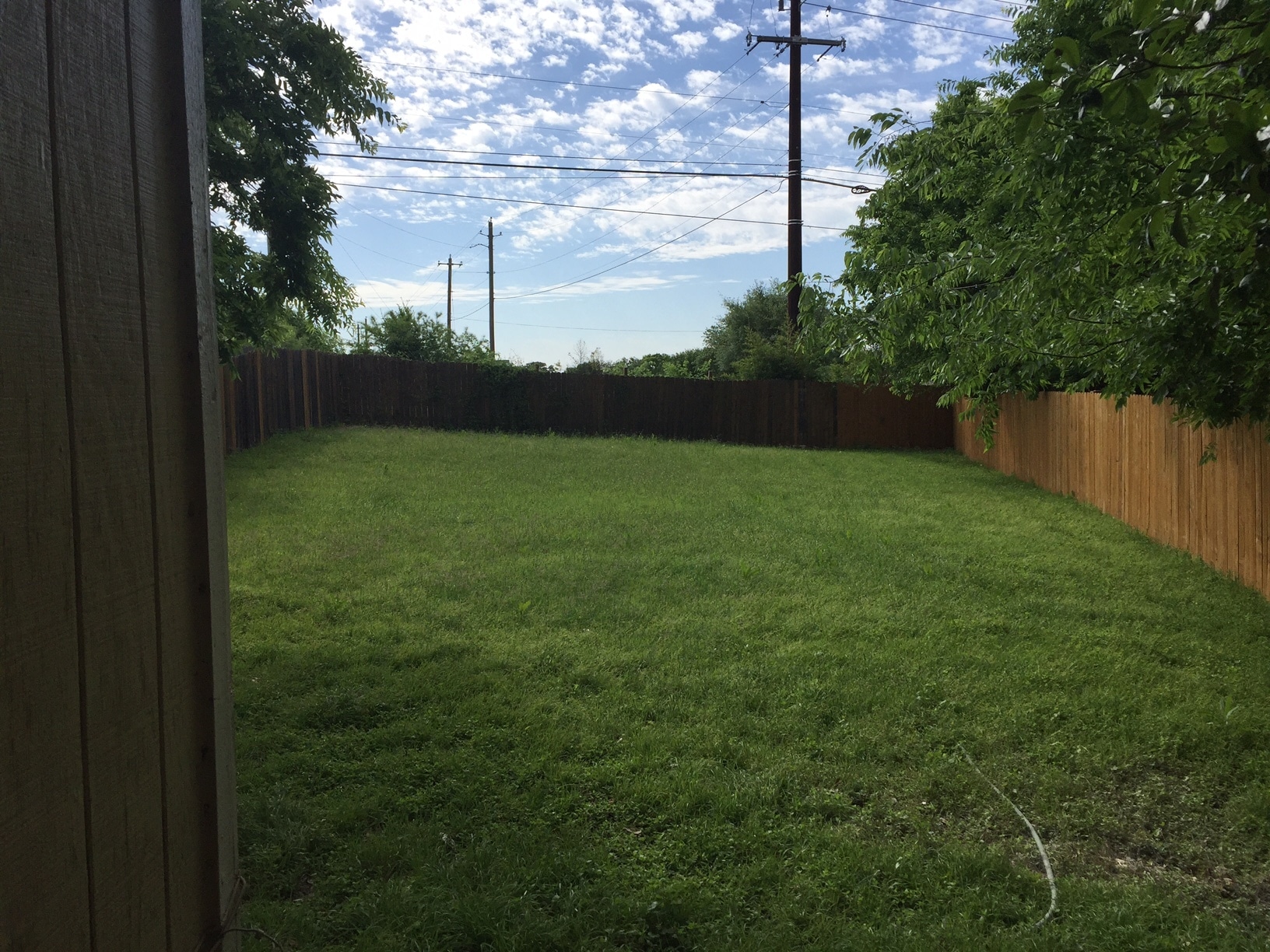 Backyard - 9115 Japonica Ct