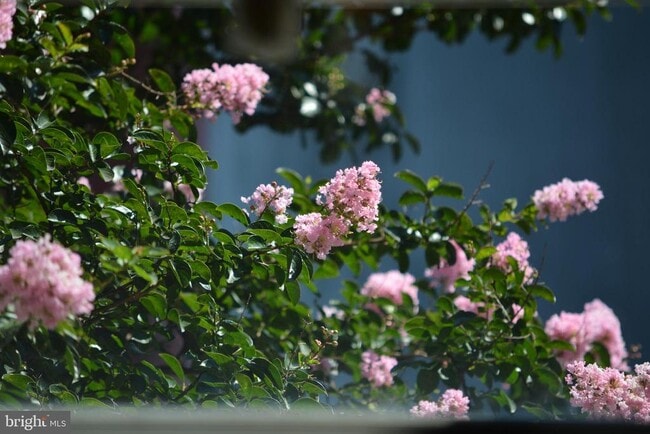 Building Photo - 1847 E Harold St