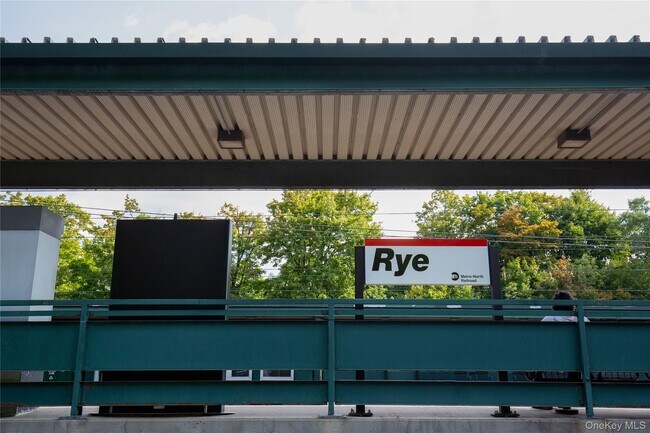 Building Photo - 100 Theodore Fremd Ave