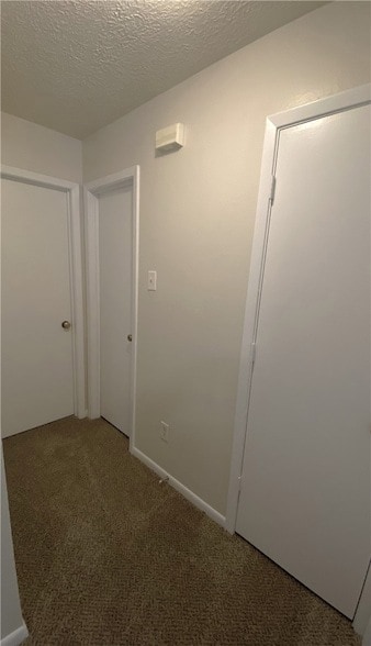 Building Photo - 3317 Longleaf Cir