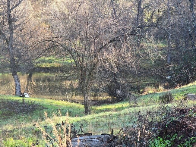 Building Photo - Calm Surrounds This Beautiful Cabin Home