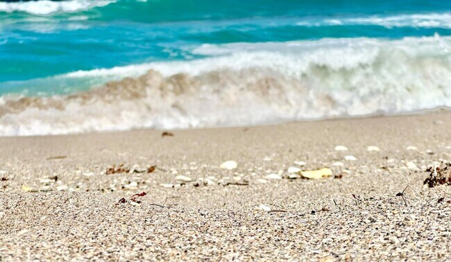 Building Photo - 5400 N Ocean Dr