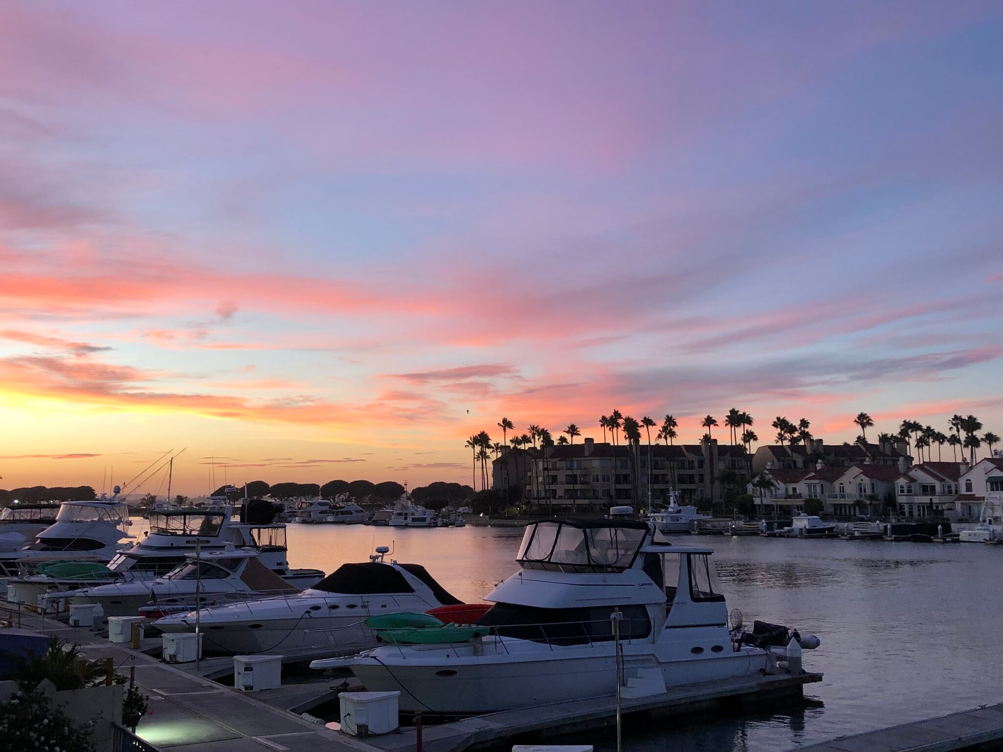 Building Photo - 3289 Moritz Dr