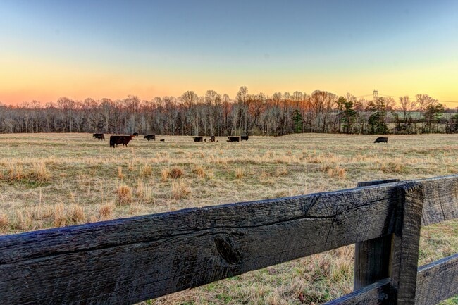 Building Photo - 2210 Stony Point Rd