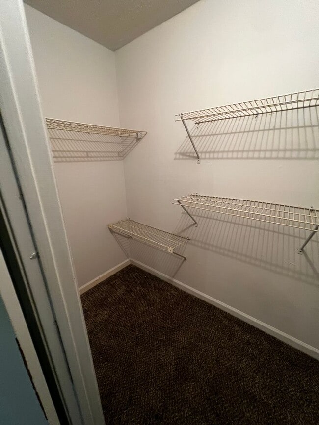 Building Photo - 2708 Greystone Ct