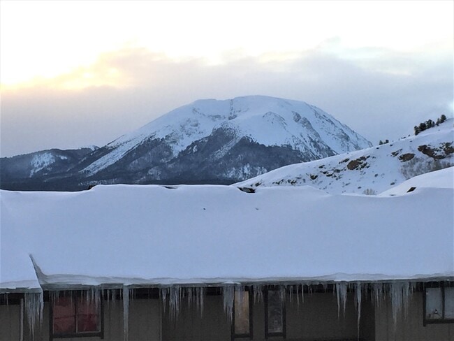 Building Photo - Long Term Rental- Dillon Valley East Q303