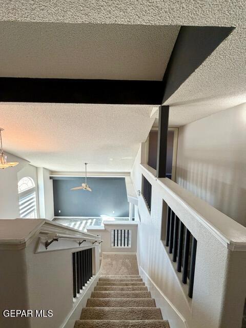 Building Photo - 12409 Paseo Alegre Dr