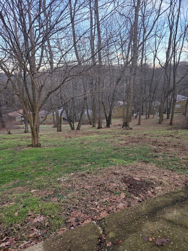 Building Photo - 524 Mercer Rd