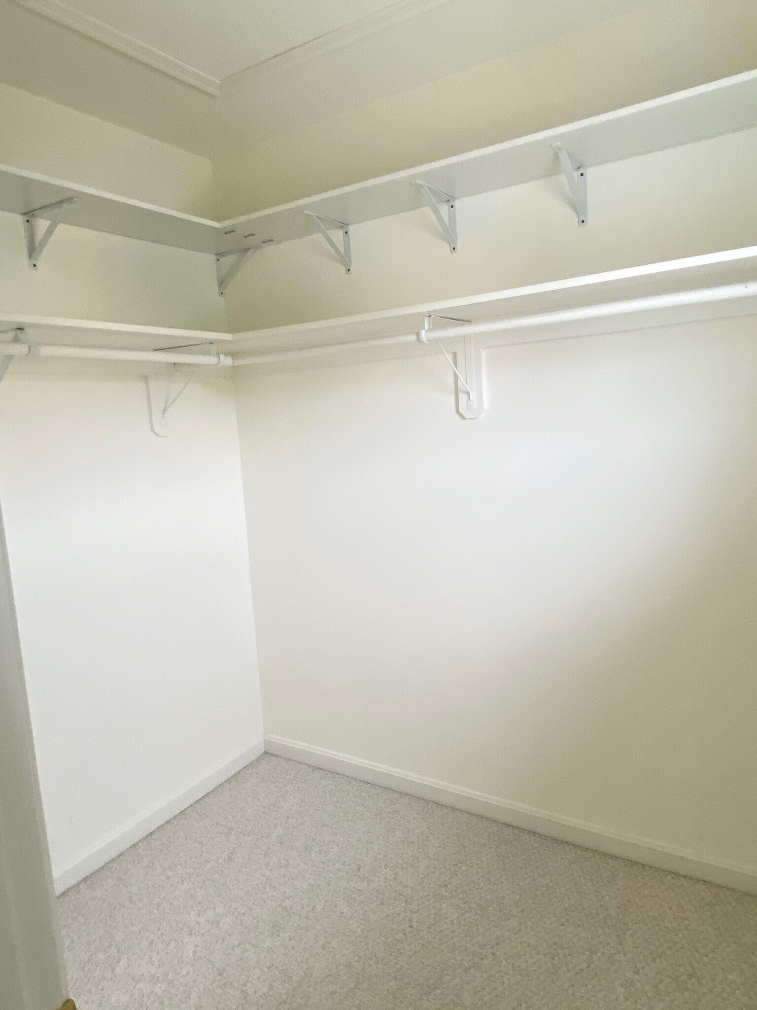 Building Photo - 94 Teague Ln