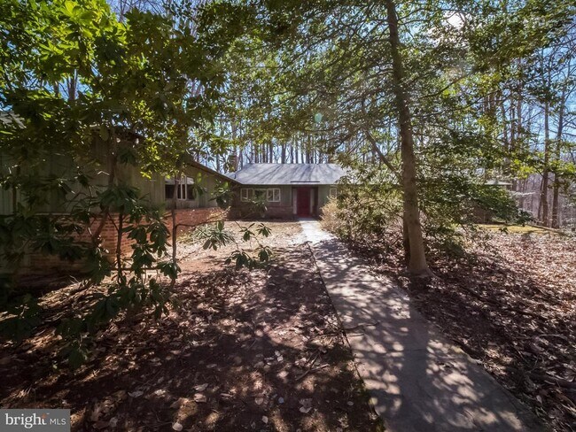 Building Photo - 4313 Woodlark Dr
