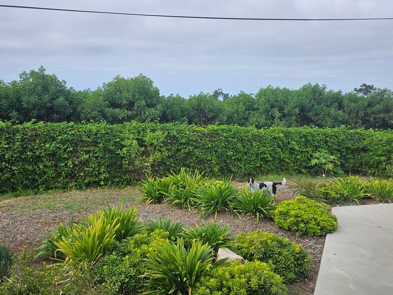 Building Photo - 968 Corte Maria Ave