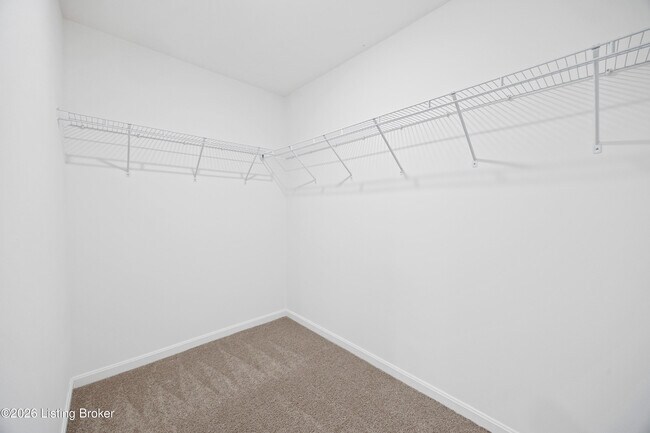 Building Photo - 284 Zelcova Dr