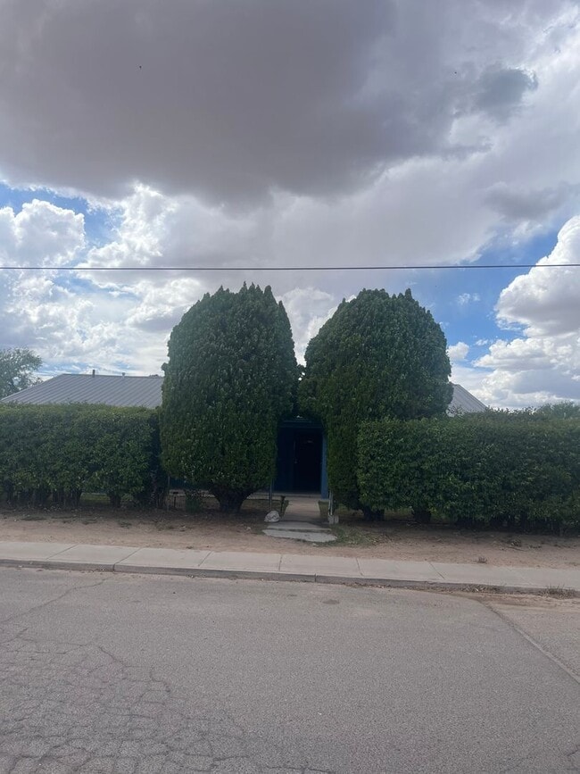 Building Photo - Charming 4 Bedroom 2 Bathroom home in the middle of Benson AZ.