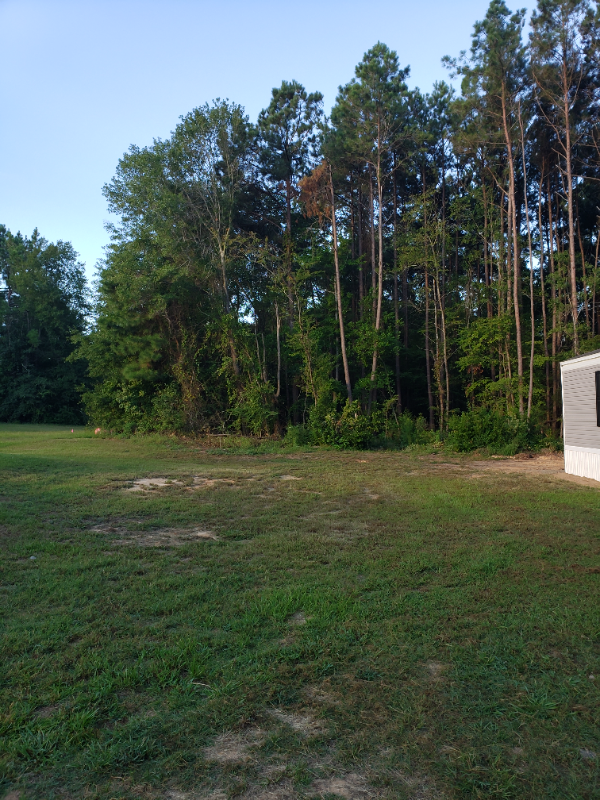 Building Photo - 2715 W McCrainie St