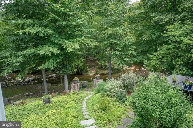 Building Photo - 337 Crum Creek Ln