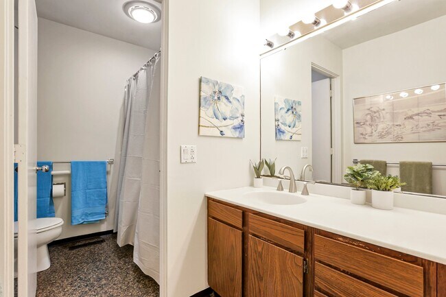 Master comes with huge full ensuite bath - 162 Denison Dr