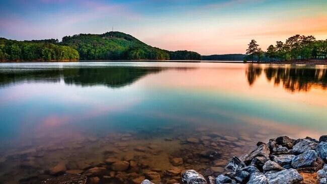 Building Photo - 132 Innis Brk Cir