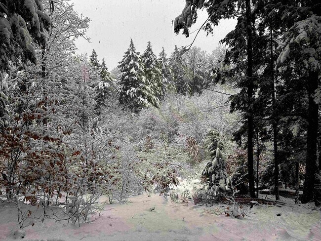 Building Photo - 280 Lakeshore Dr