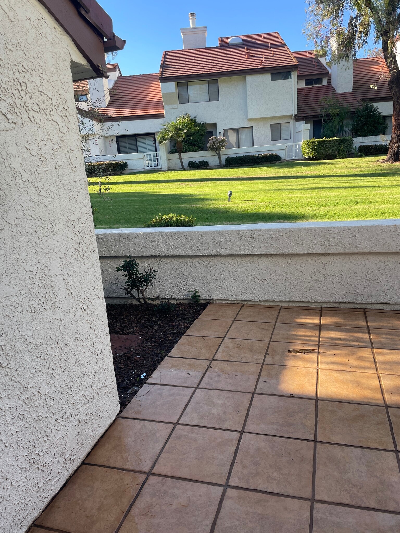 Back Patio - 1321 Calle Lozano