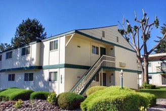 Building Photo - La Verde