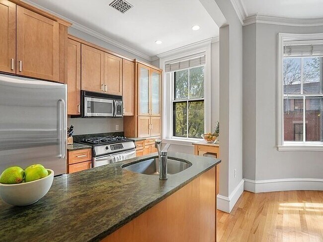 Building Photo - "Charming 2-Bed Oasis in the Heart of Boston's South End – Spacious 765 Sq Ft!"