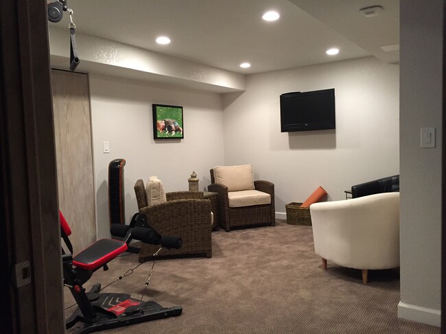 Finished basement - 21690 Mary Lynn Dr