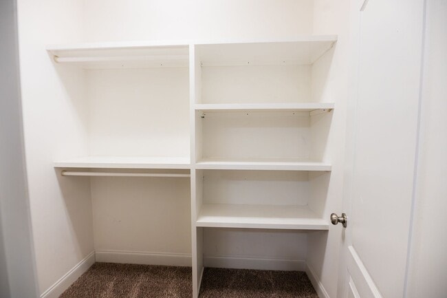 Building Photo - Stunning 5 Bedrooms, 4 Baths home in Summerfield with 2 car garage.