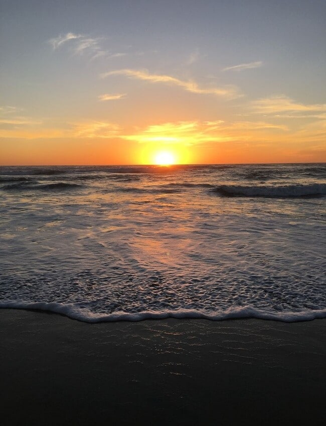 Building Photo - Beautiful La Jolla Condo – Fully Furnished – $350 Off 1st Month!