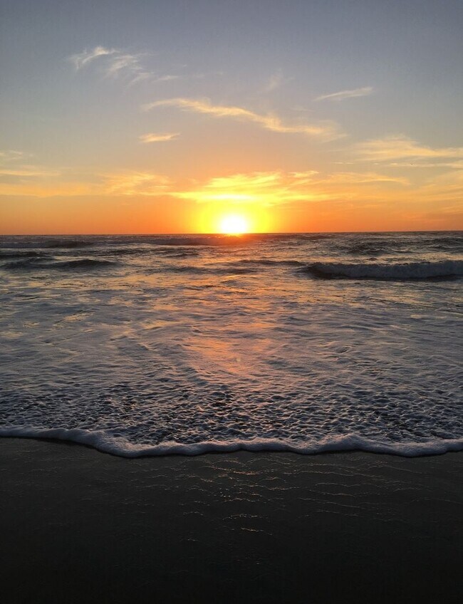 Building Photo - Beautiful La Jolla Condo – Fully Furnished...
