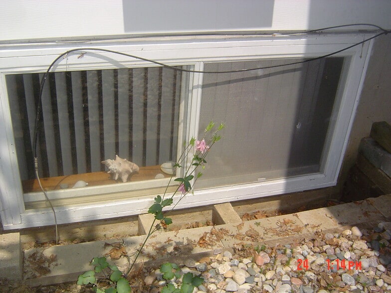 side window - 5202 Schofield St