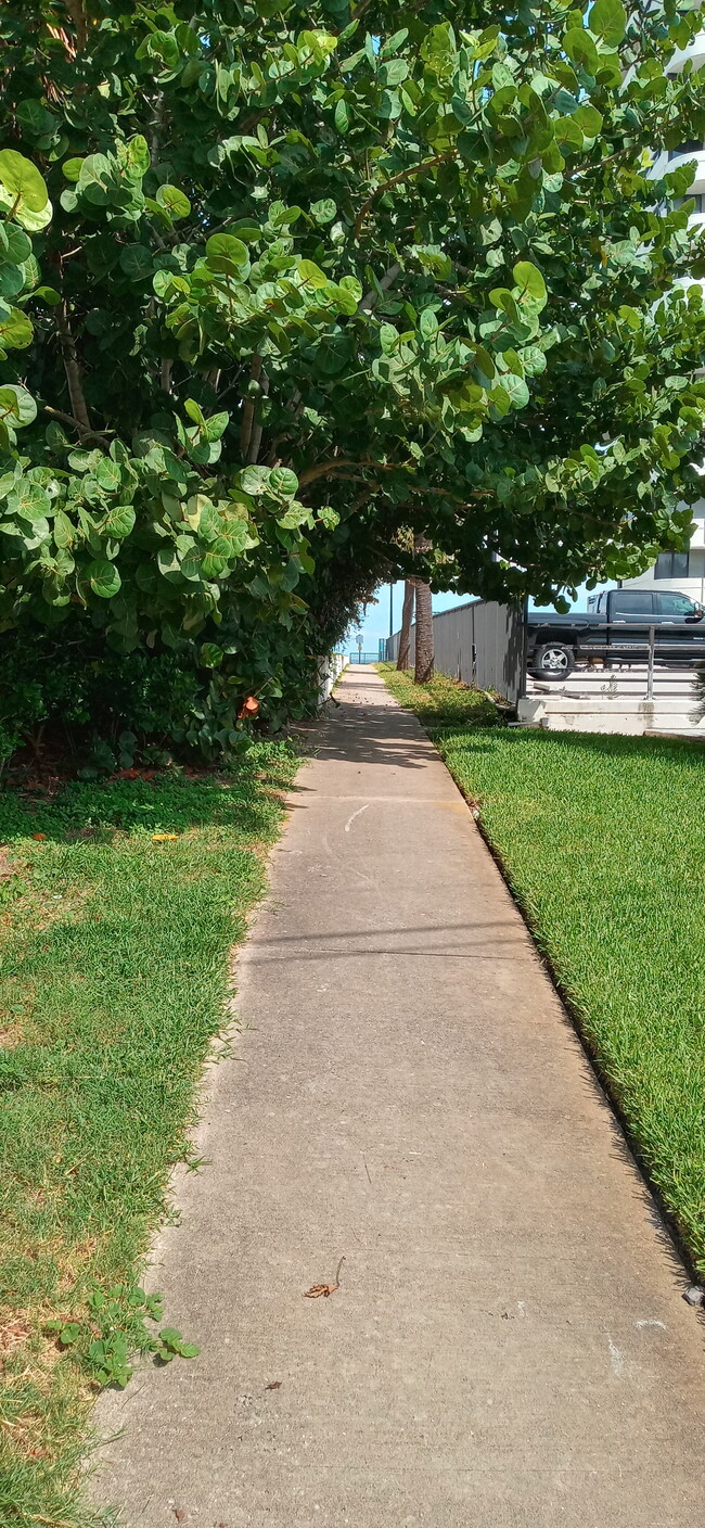 Public Path to Beach - 1429 N Atlantic Ave