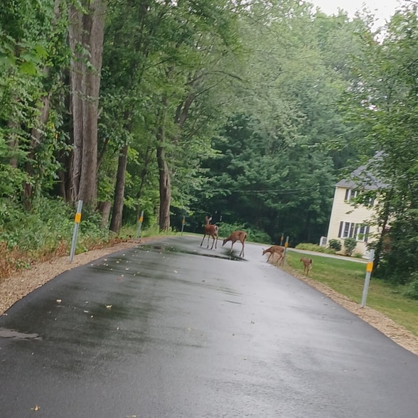 Building Photo - 671 Main St