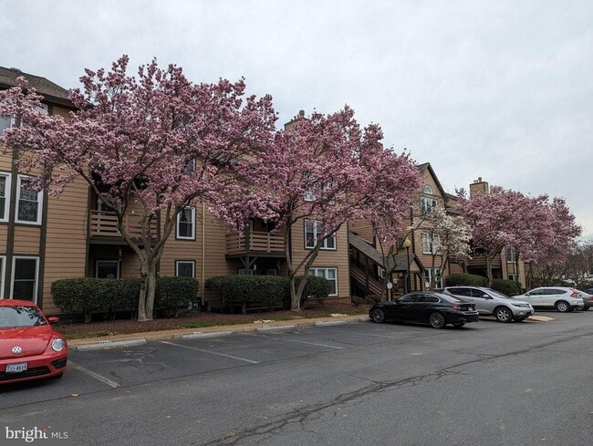 Primary Photo - 243 Loudoun St SW