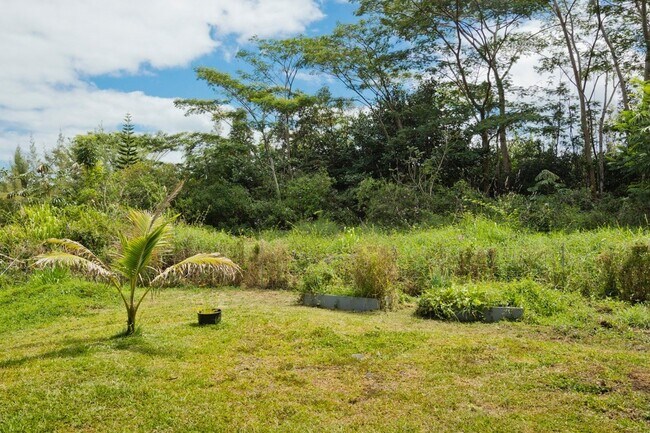 Back Yard (fenced in) - 15-2031 32nd Ave