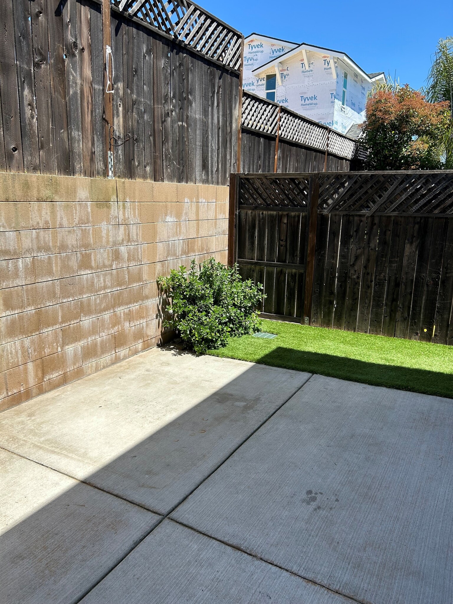 backyard - 980 La Costa Ct