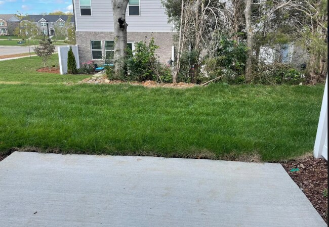 Building Photo - 1523 Olympic Ln